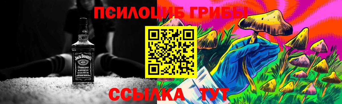 Галлюциногенные грибы Cubensis Буйнакск