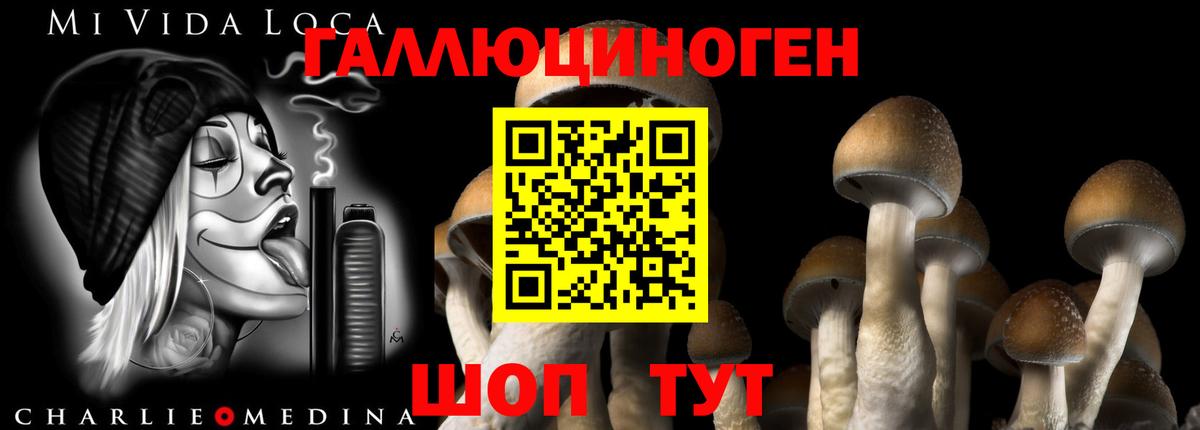 Псилоцибиновые грибы мицелий  Вход с VPN  Буйнакск 